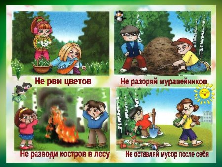 Поведение на природе для детей