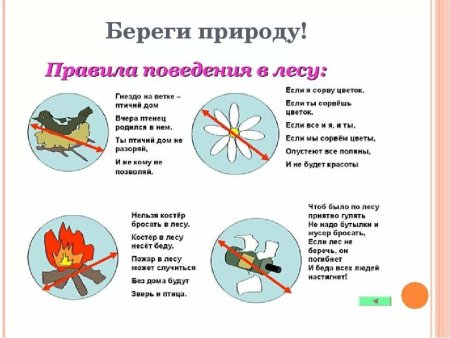 Правила поведения в Дему