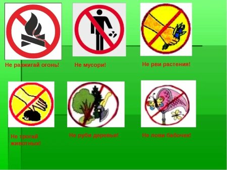 Знаки защиты природы