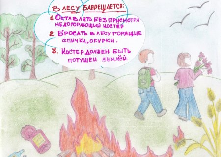 Рисунок по безопасности в лесу