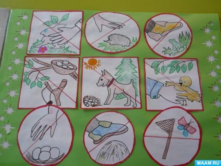 Безопасность в природе старшая группа