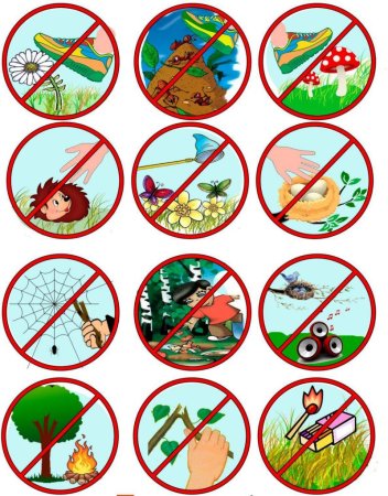 Знаки природы