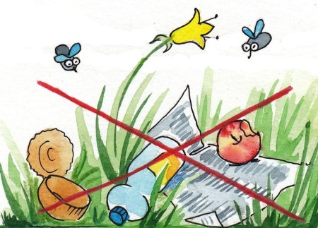 Поведение на природе для детей