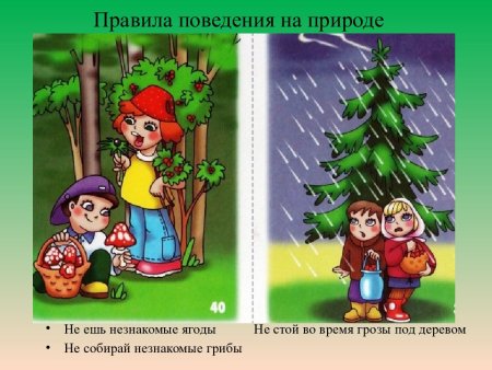 Правила поведения на природе