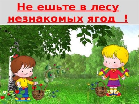 Поведение в лесу для детей