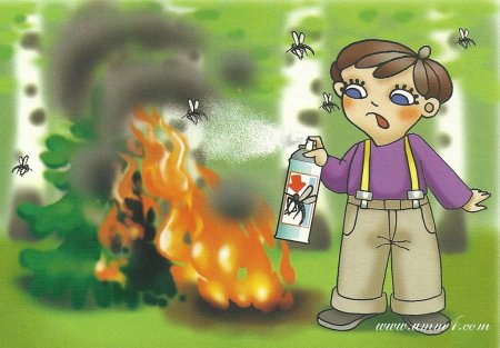 Правила поведения в лесу