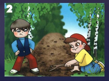 Неправильное поведение в лесу