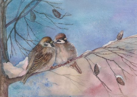 Воробей домовый и полевой отличия