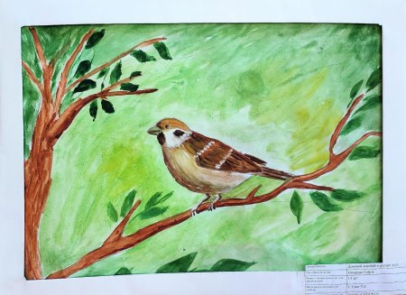 Домовой Воробей рисунок