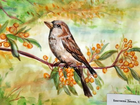 Систематика воробья домового