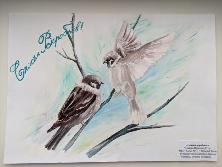 Воробей слайд