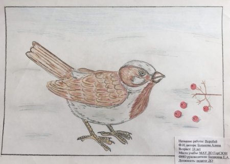 Храбрый Воробей