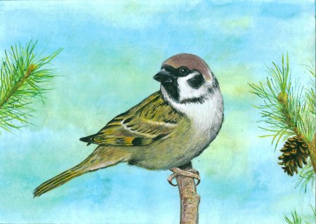 Рисование стайка воробьёв