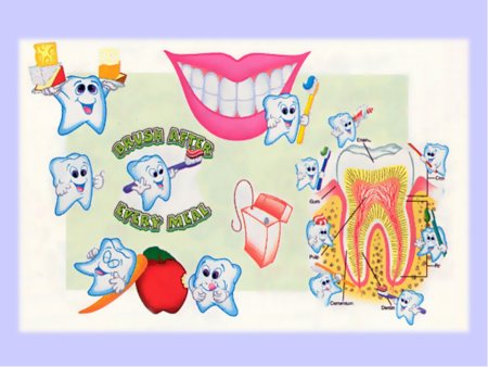 Плакат Здоровые зубы