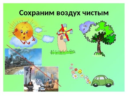 Проект чистый воздух