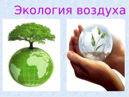 Окружающий мир экология
