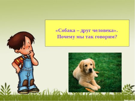 Собака друг человека презентация
