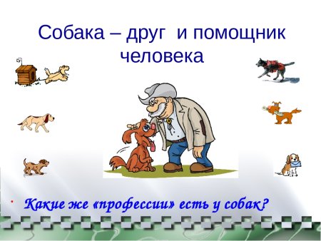 Собака друг человека слайды