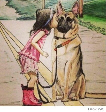 Собаки лучше людей