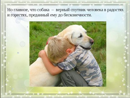 Собака верный друг