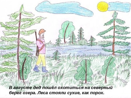 Заяц Русак раскраска