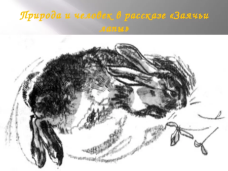 Константин Паустовский заячьи лапы
