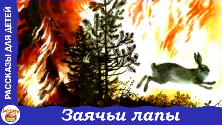 Константин Паустовский заячьи лапы рисунок