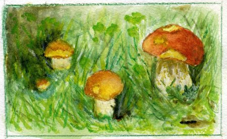 Грибная Поляна изо подготовительная группа Колдина