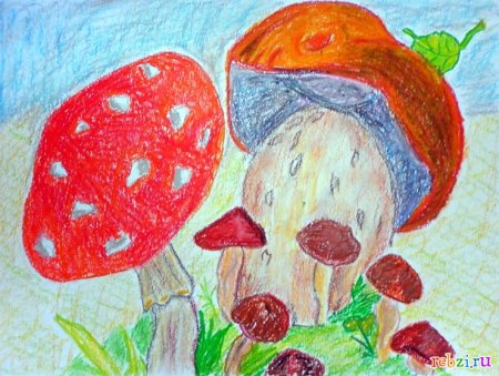 Рисование с детьми на тему грибы