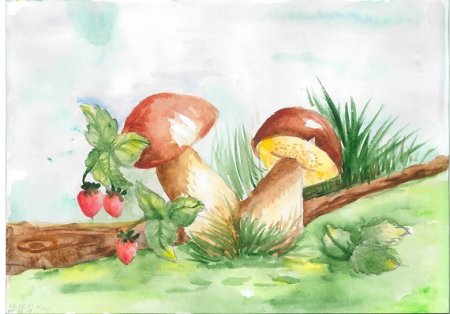 Рисование грибная Полянка