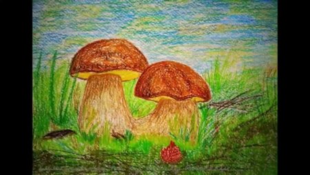 Грибы цветными карандашами