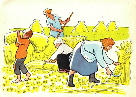 Косят пшеницу