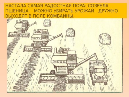 Комбайн убирает пшеницу рисунок