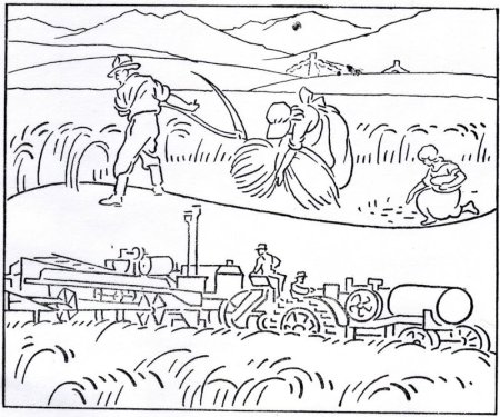 Раскраска на тему сельское хозяйство