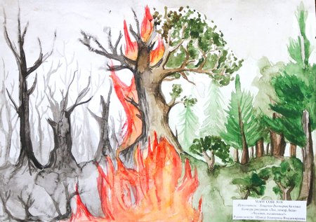 Рисунок пожар в лесу - 53 фото