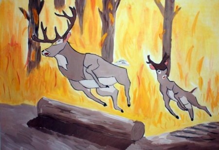 Рисование пожар в лесу