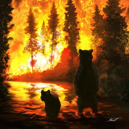 Лес в огне