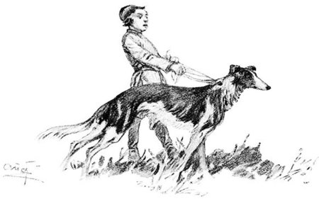 Николенька Иртеньев