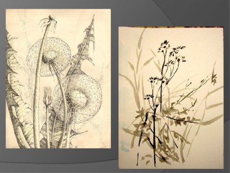 Рисунок основа изобразительного искусства