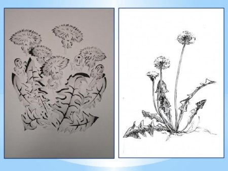 Рисунок основа изобразительного искусства 6 класс