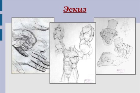 Основы рисунка