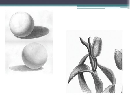 Рисунок основа изобразительного искусства