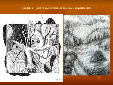 Выразительные средства графики