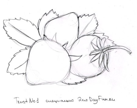 Клубника рисунок для срисовки