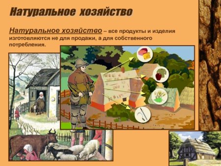 Средневековая деревня натуральное хозяйство