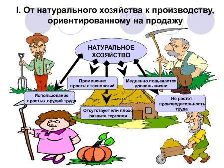 Натуральное хозяйство это в экономике