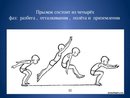 Фаза отталкивания в прыжках в длину с разбега