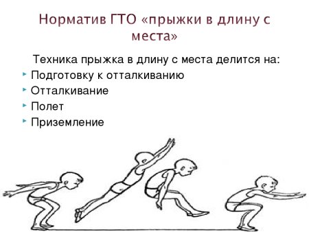 Техника выполнения прыжка в длину с места