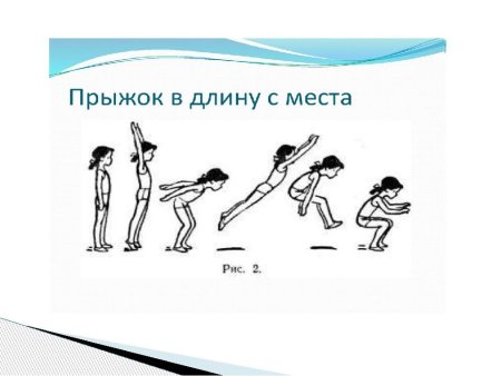 Фазы техники прыжка в длину с места