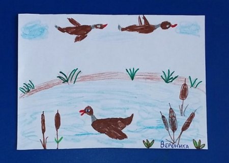 Иллюстрации к сказке серая шейка в подготовительной группе рисование